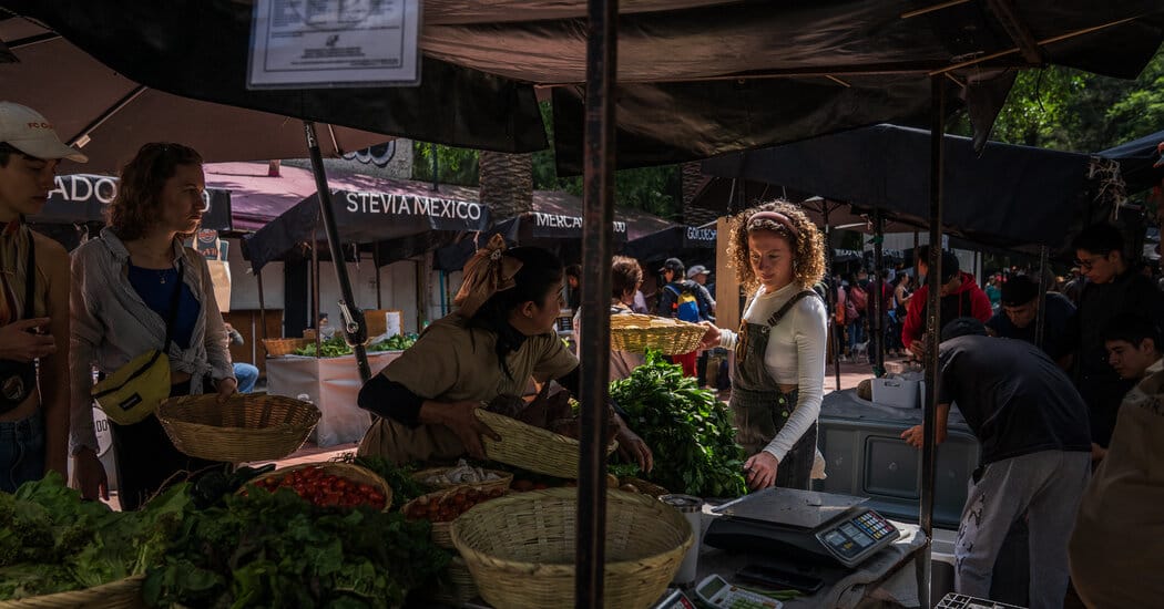 Thousands of foreign women settle in Mexico City, start businesses and prompt local concern — Static01.nyt.com