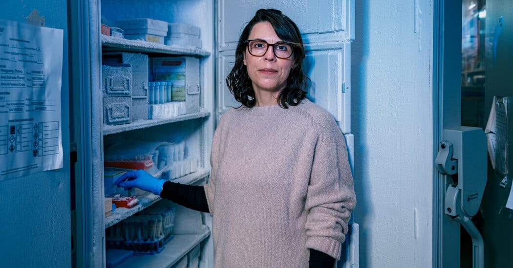 UC Davis geneticist says NIH denied grant renewal over South Africa collaboration — Static01.nyt.com