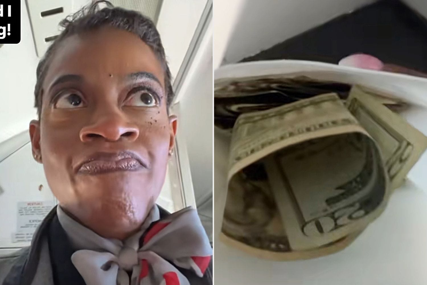 Flight attendant finds $208 in sick sack of tips on holiday flight — People.com