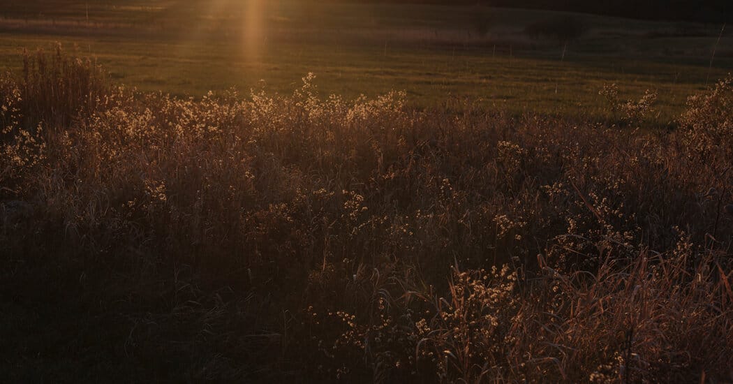 Middlebury senior Lia Smith found dead; police rule death a suicide — Static01.nyt.com