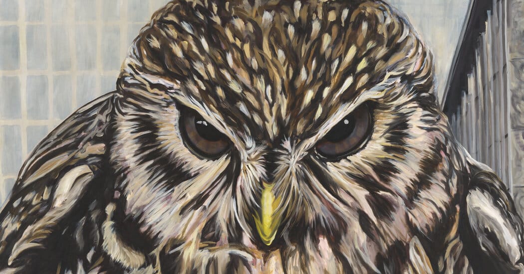 Will Heinrich highlights Euler, Rosenfeld and Heckel gallery shows in New York — Static01.nyt.com