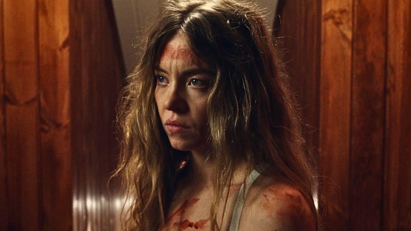 Sequel The Housemaid’s Secret announced with Paul Feig and Sydney Sweeney — Static0.moviewebimages.com