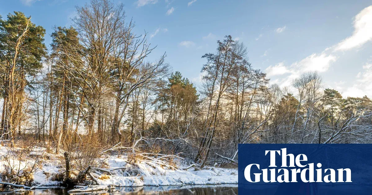 Arctic air brings deep cold to Europe as Corsica hit by near-100mph gusts — I.guim.co.uk