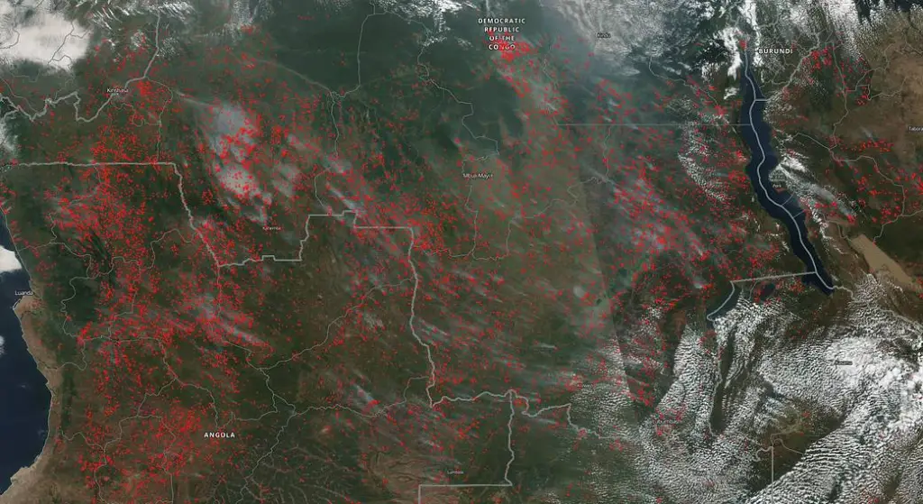 NASA Ames posts 2022 Earth Science Nuggets — Nasa.gov