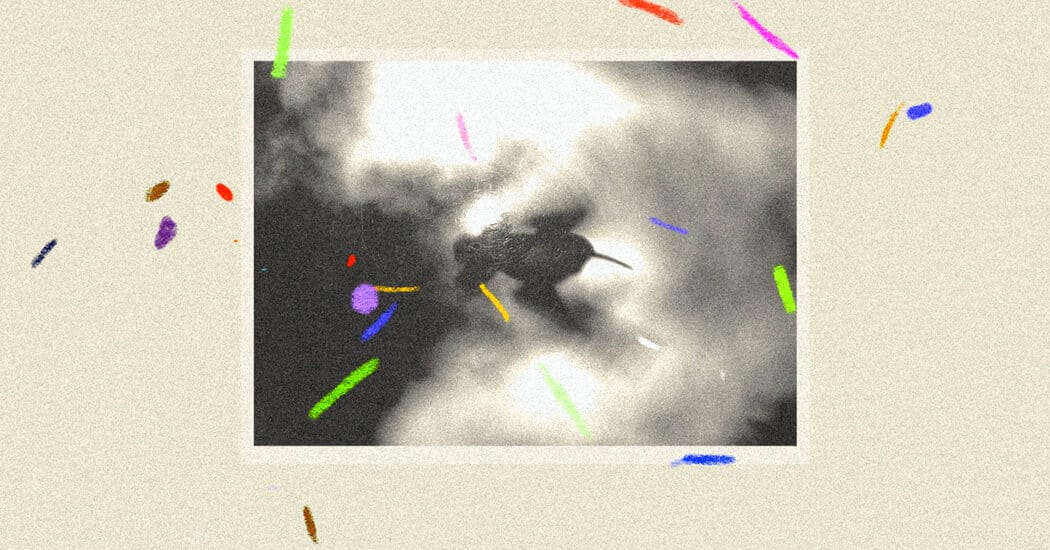 Critics name eight art and entertainment highlights to watch in 2026 — Static01.nyt.com