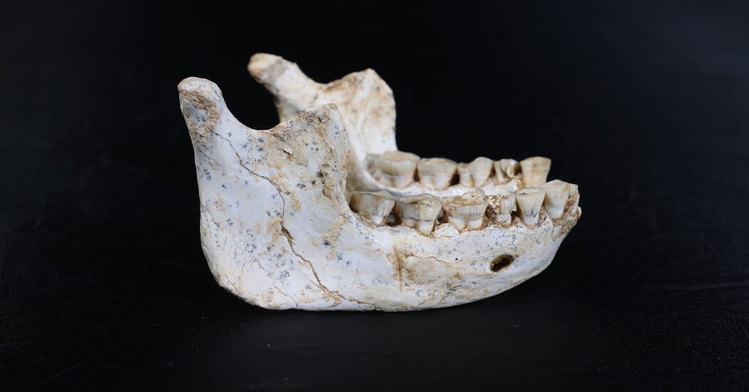 Moroccan cave fossils dated to 773,000 years fill gap in African record — Static01.nyt.com