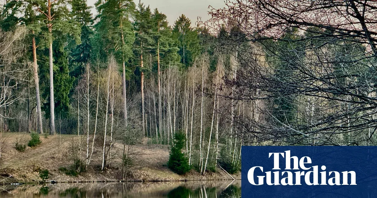 Sophie Pinkham argues Russia’s forests shape the nation’s identity — I.guim.co.uk