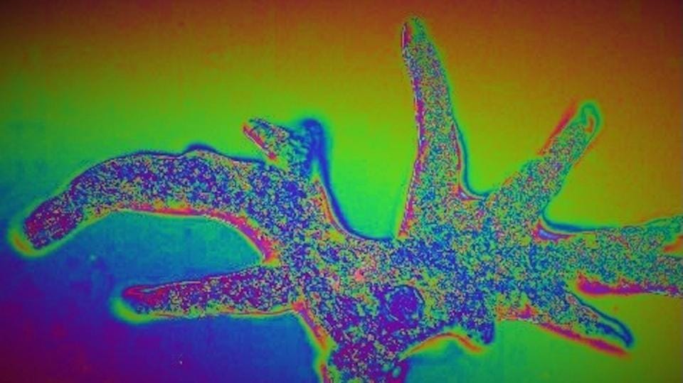 Ethereum raises blob capacity per block ahead of Fusaka upgrade — Cdn.sanity.io