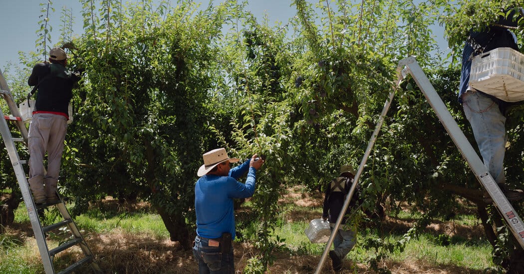 Trump mixes softer rhetoric for some immigrants with threats to citizenship, he told The New York Times — Static01.nyt.com