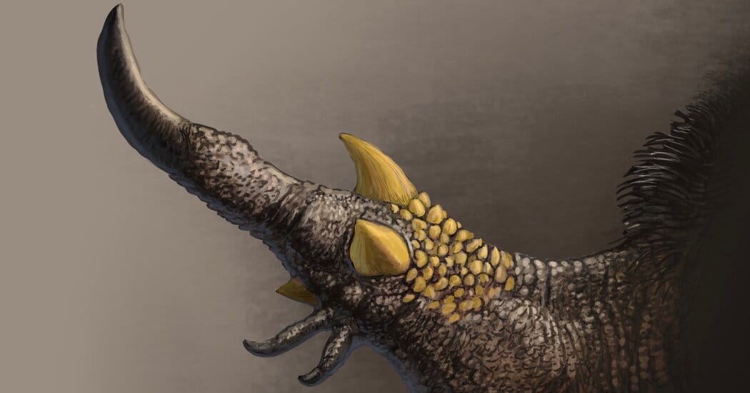 Manipulonyx fossil points to spike‑covered hand for gripping eggs — Static01.nyt.com