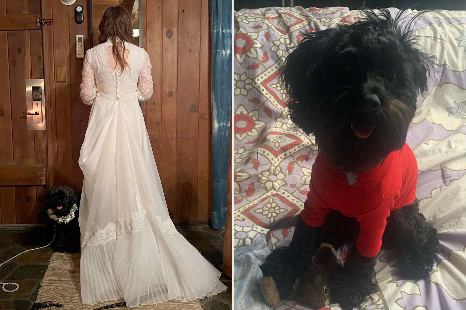 Jenny Lewis marries dog Bobby Rhubarb at 50th birthday celebration — People.com