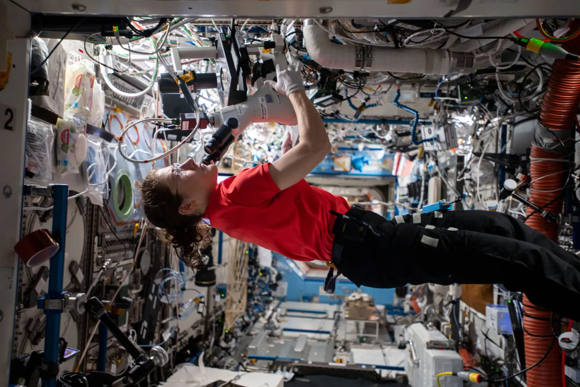 A quarter-century on the ISS: microgravity research benefits Earth and future missions — Nasa.gov