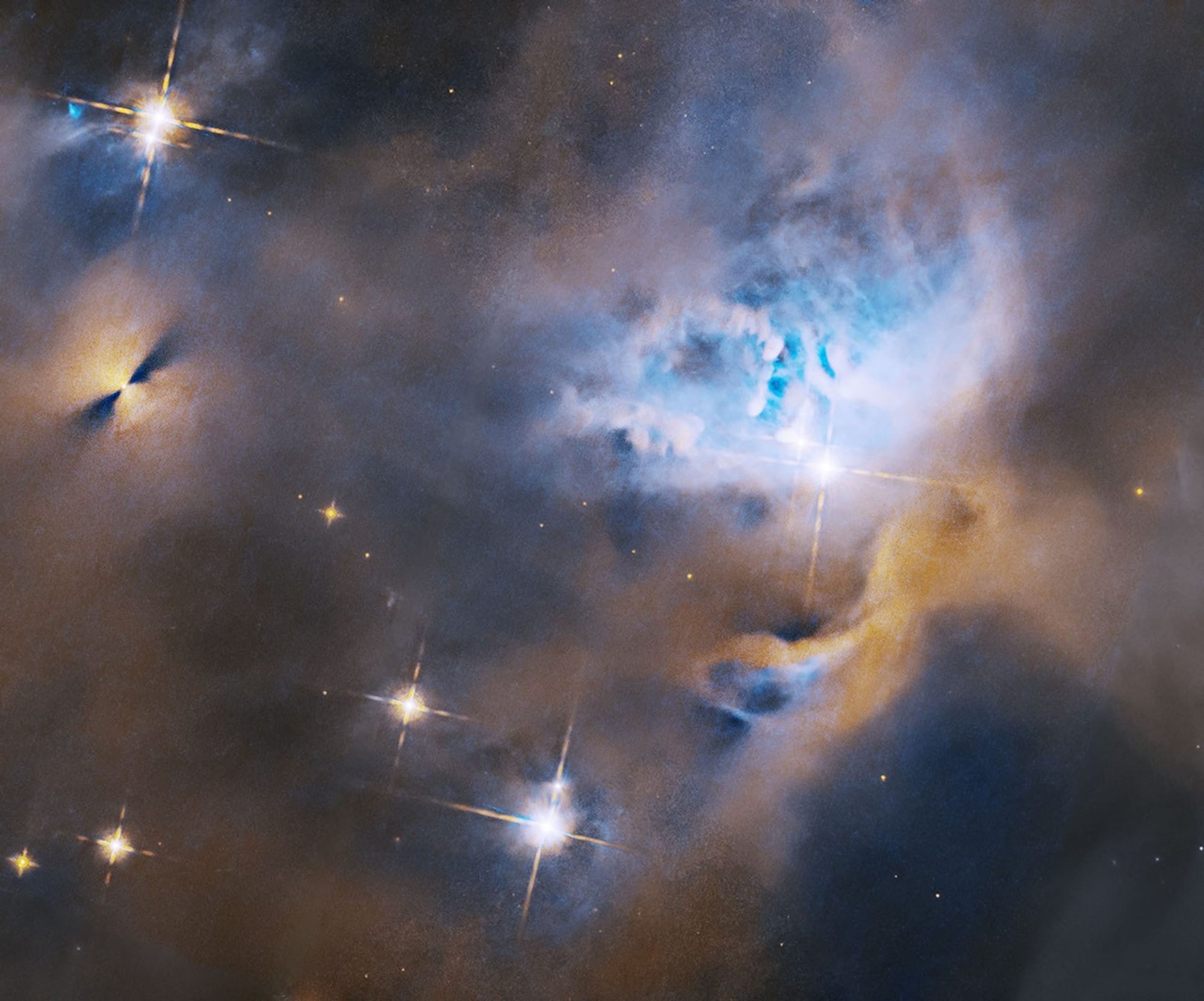 Hubble captures young stellar objects in NGC 1333 — Assets.science.nasa.gov