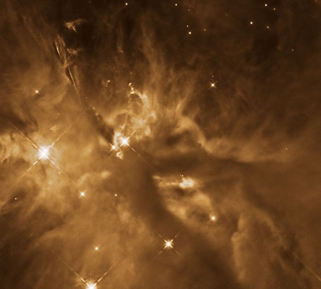 Hubble images show protostars and jets carving cavities in Orion cloud — Assets.science.nasa.gov