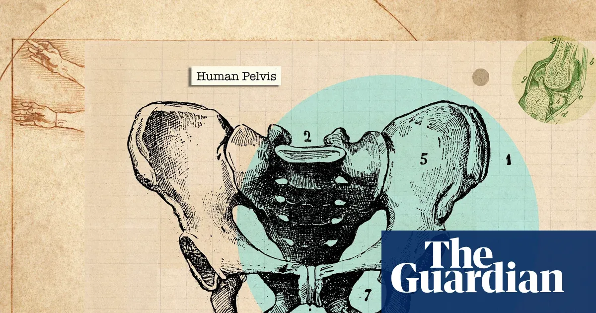 Physiotherapists set out everyday steps to protect pelvic floor health — I.guim.co.uk