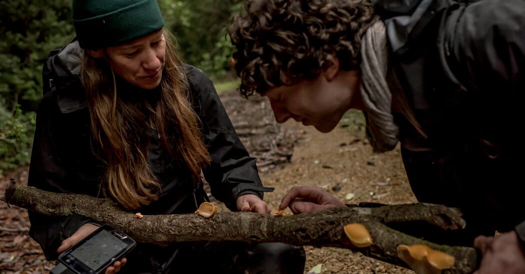 Toby Kiers awarded Tyler Prize for decades of mycorrhizal fungi research — Static01.nyt.com