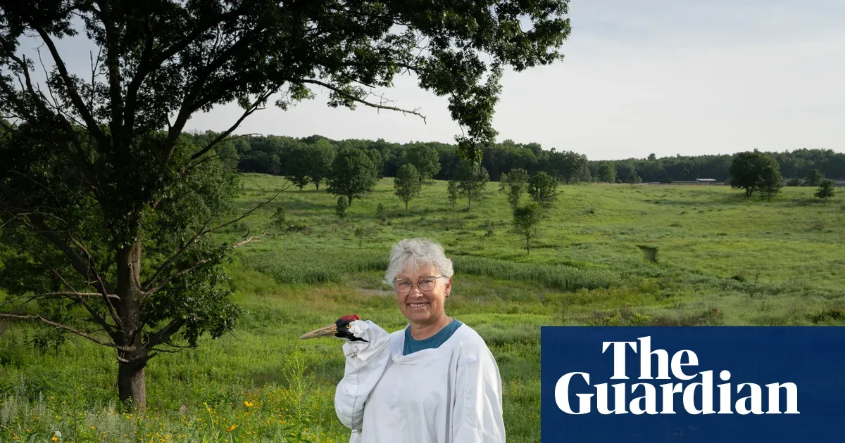 Aviculturist uses crane costumes at Baraboo centre to raise and teach chicks — I.guim.co.uk