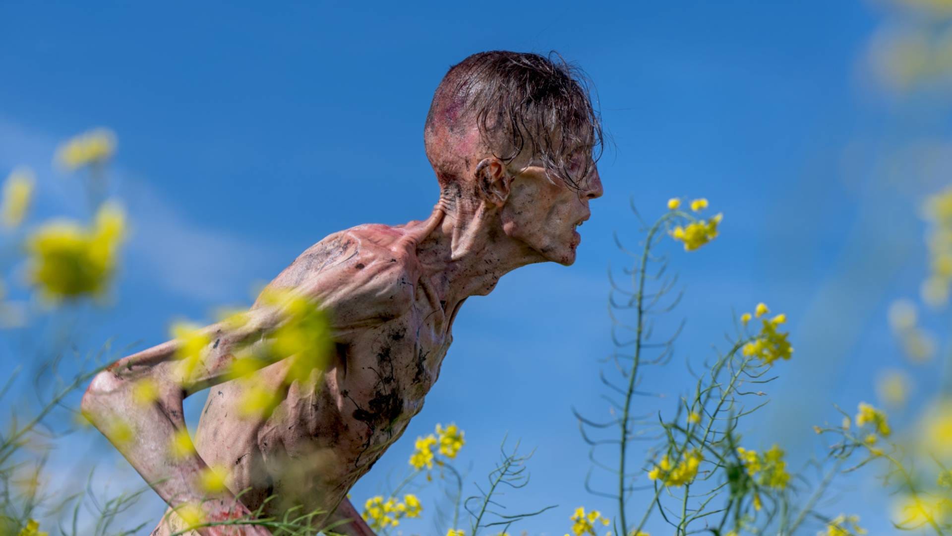 Nia DaCosta on Cillian Murphy's Jim returning in 28 Years Later sequel — Cdn.mos.cms.futurecdn.net