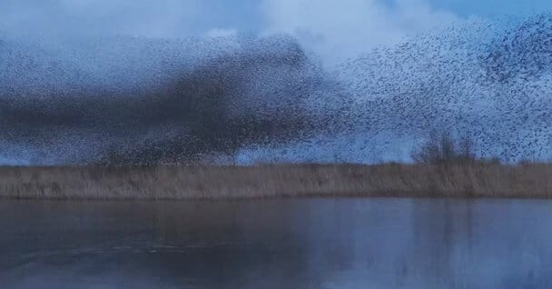 Brooks: Neuroscience likens the mind to shifting networks, not fixed modules — Static01.nyt.com