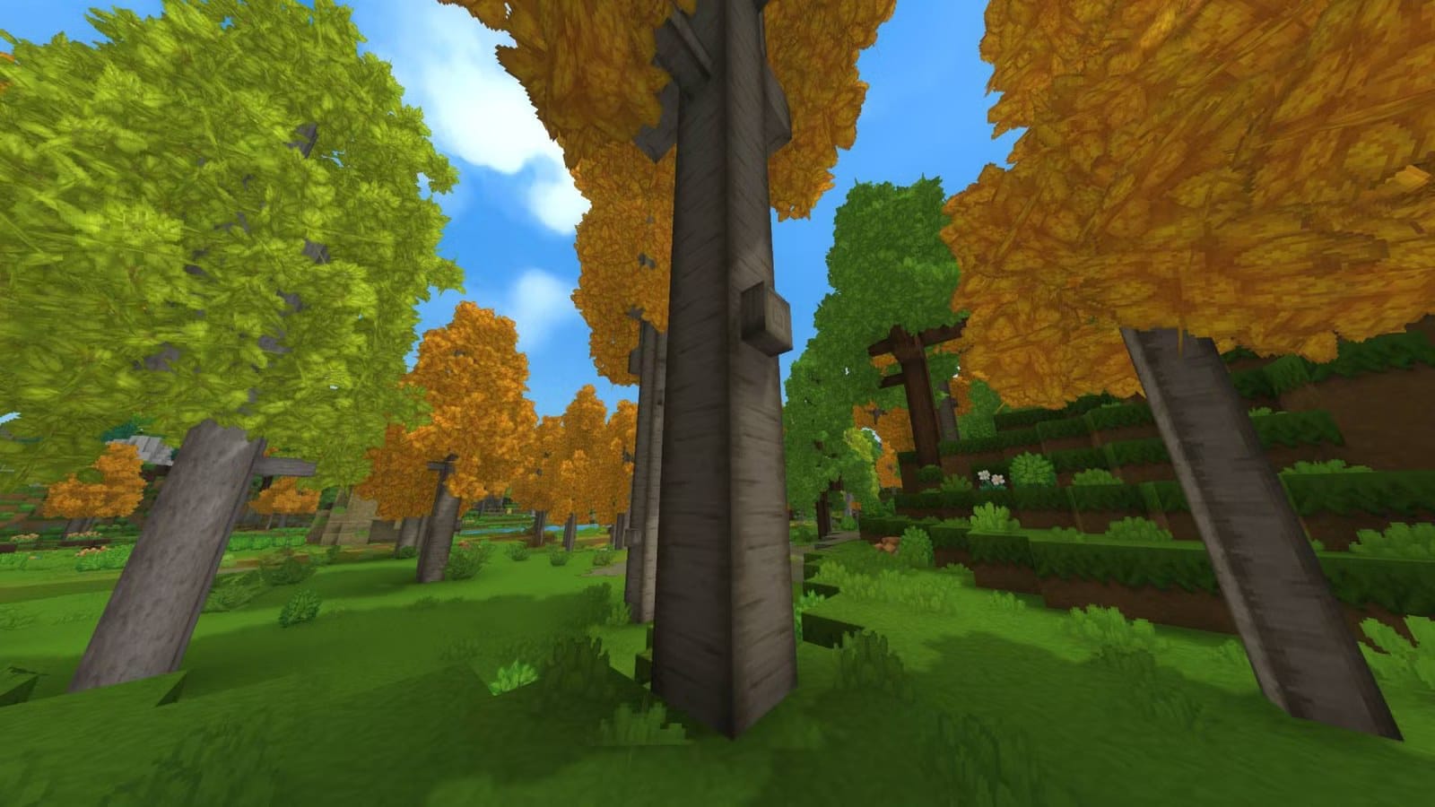Find softwood in Hytale by cutting beech and aspen trees — Static0.polygonimages.com