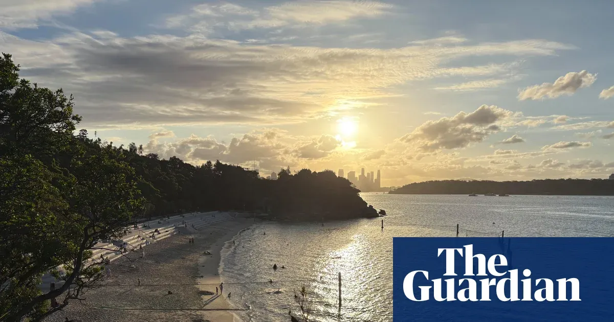 Boy in critical condition after shark bite at Sydney's Shark Beach — I.guim.co.uk