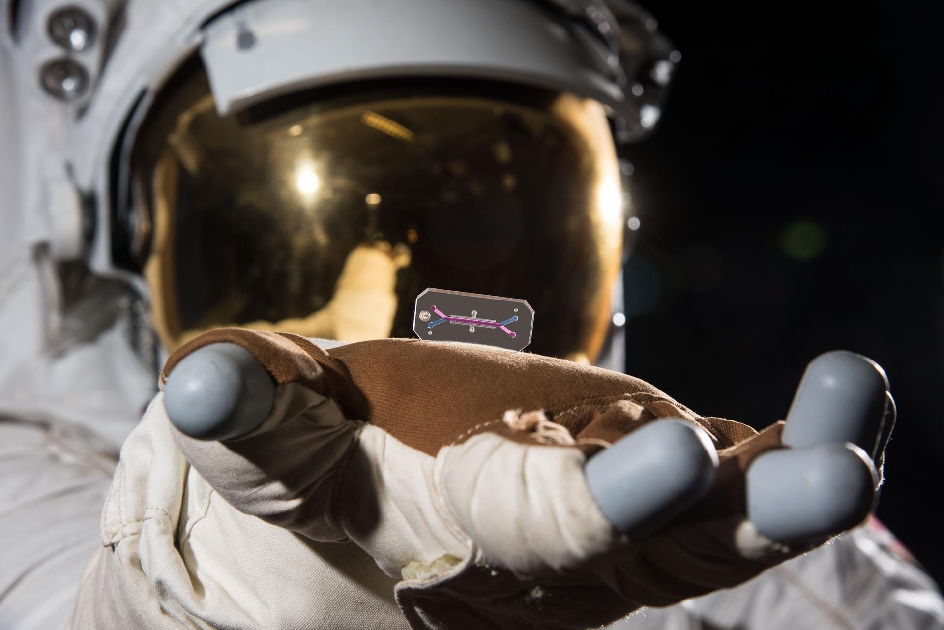 NASA provides AVATAR media resources and interview contacts — Images-assets.nasa.gov