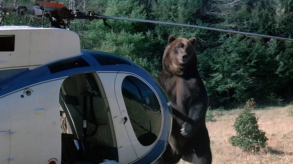 Ten films turning 50 in 2026 ranked among the worst — Static0.colliderimages.com