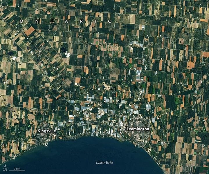 Greenhouse growth around Leamington has altered land cover and night skies — Assets.science.nasa.gov