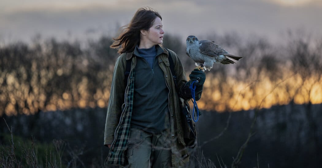 Claire Foy and a goshawk headline adaptation of Helen MacDonald memoir — Static01.nyt.com