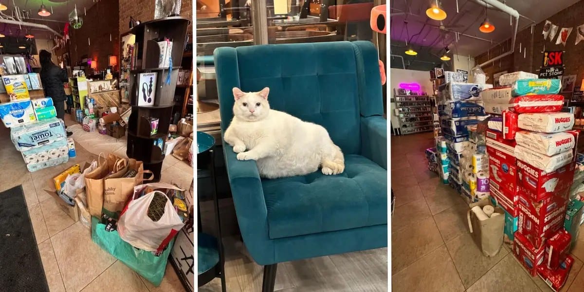 Minnesota retailers turn stores into aid centers amid ICE protests — I.insider.com