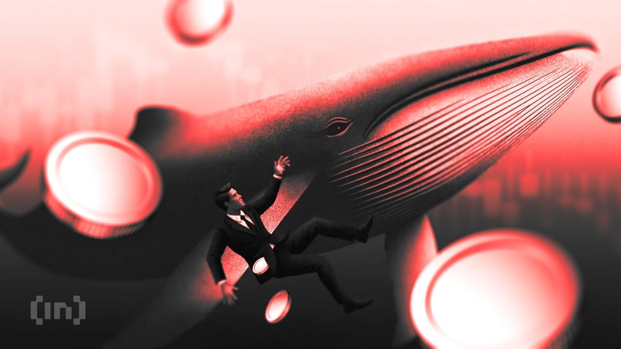 AXS pulls back after 41% rally as whales add 160,000 tokens — Assets.beincrypto.com