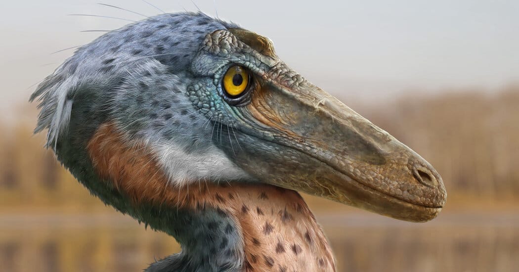 Knobby-headed raptor fossil from Mexico suggests head‑butting behavior — Static01.nyt.com