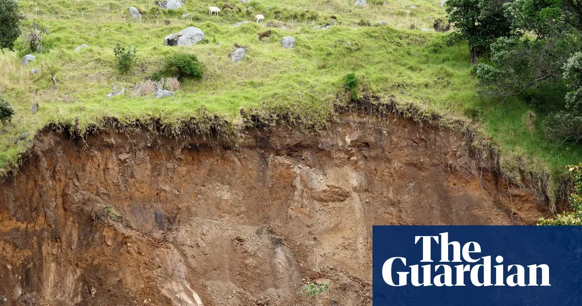 Experts warn New Zealand may face more deadly landslides as storms intensify — I.guim.co.uk