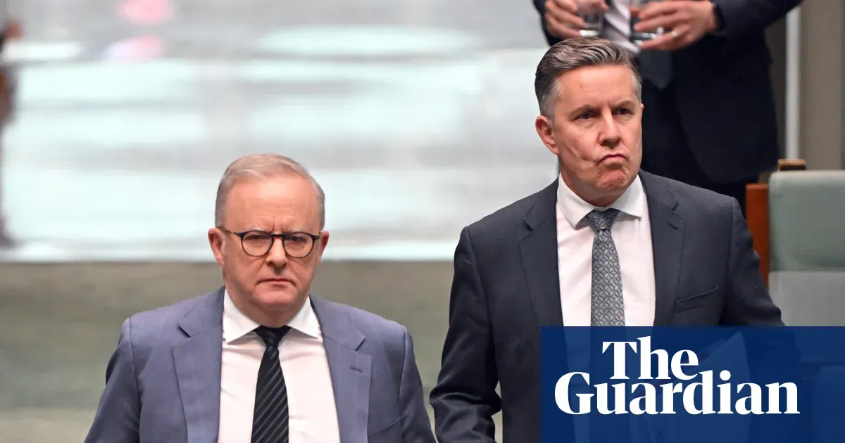 Labor offers delay to NDIS autism program to secure hospitals and disability funding deal — I.guim.co.uk