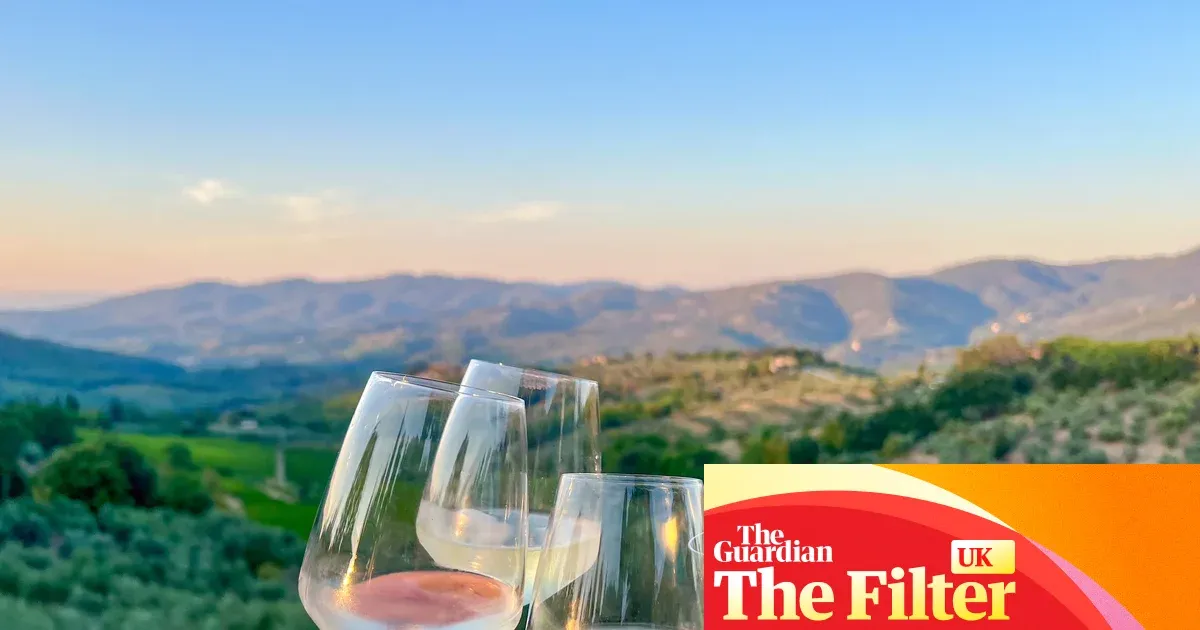 Best no- and low-alcohol wines — picks from whites to sparklings and teas — I.guim.co.uk