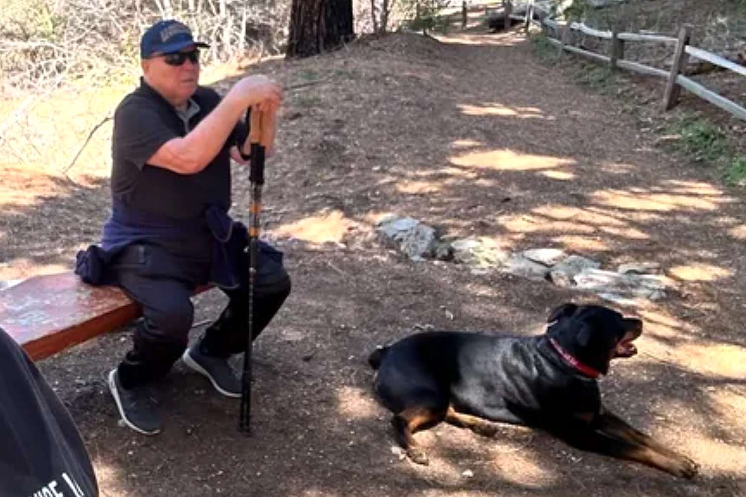 Holocaust survivor Andriy Korshunov, 80, and his dog killed in LA hit-and-run — People.com