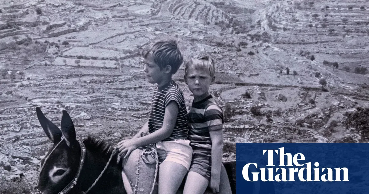 Cocolo: the donkey who arrived unexpectedly at our door in Jerusalem — I.guim.co.uk