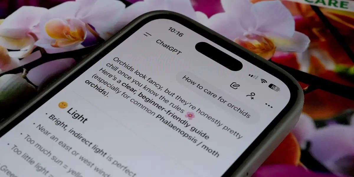 OpenAI building ads integrity team to guard ChatGPT ads — I.insider.com