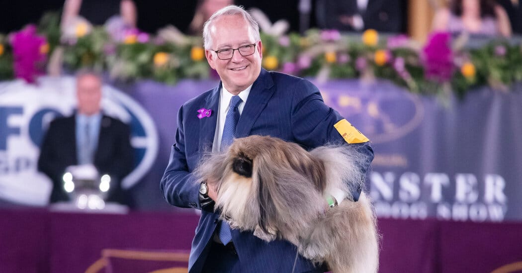 Penny the Doberman Wins Best in Show at Westminster — Static01.nyt.com