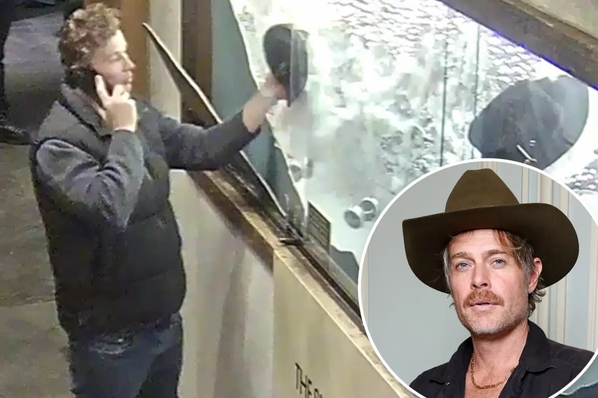 Thief in Nick Fouquet hat heist in Aspen comes forward — pagesix.com