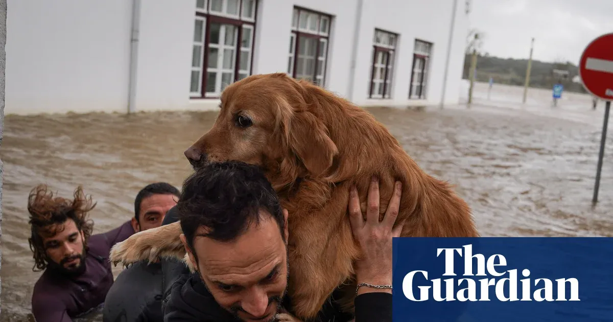 Calls to postpone presidential election as Storm Leonardo lashes Portugal and Spain — World news | The Guardian
