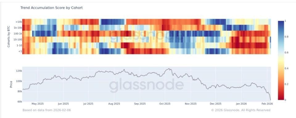 Bitcoin accumulation rises across cohorts, Glassnode shows — CoinDesk: Bitcoin, Ethereum, Crypto News and Price Data