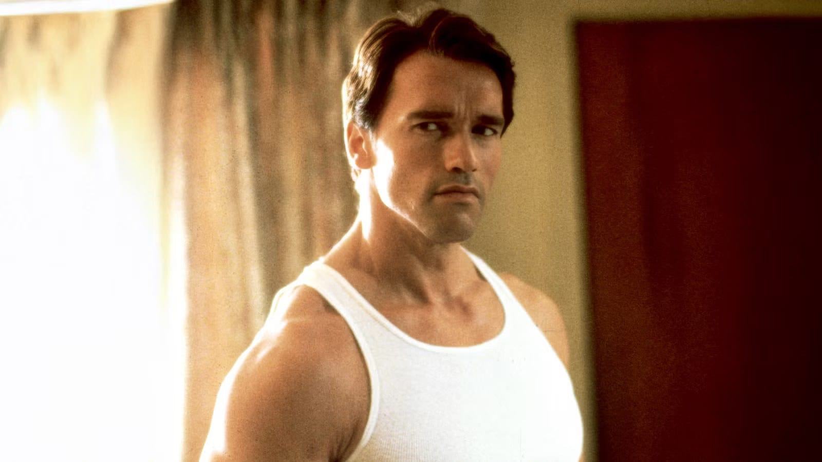 Arnold Schwarzenegger’s Classic 1980s Action Thriller Is Free This Month — Collider