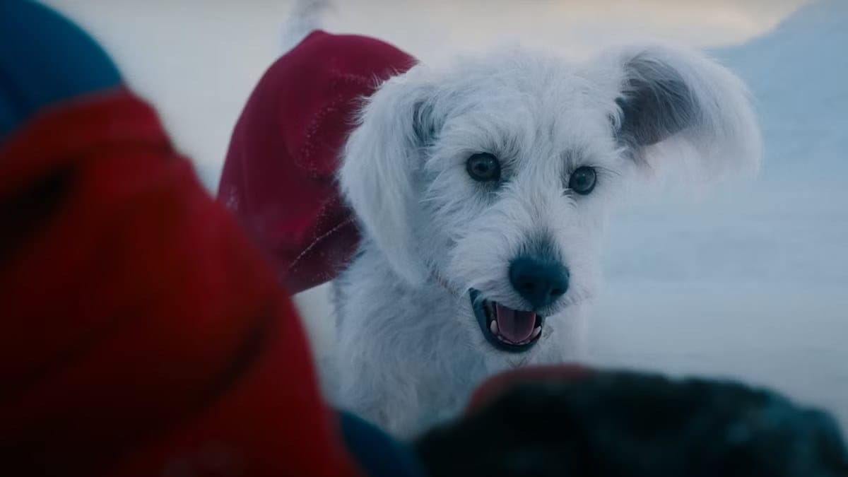 Baby Krypto Appears in New Supergirl Super Bowl Teaser — Movieweb