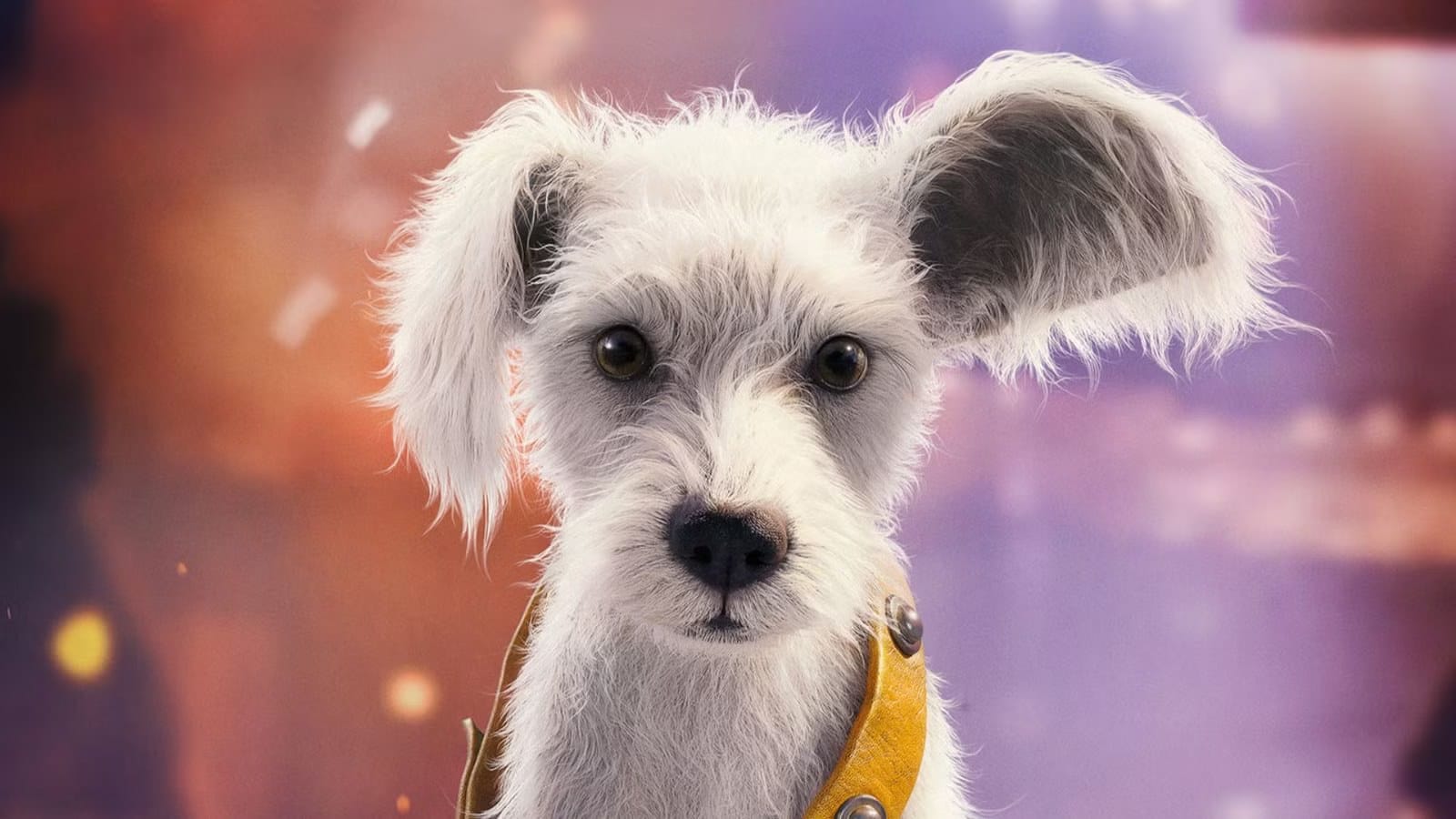 Baby Krypto Steals the Show in New Supergirl Teaser — Collider