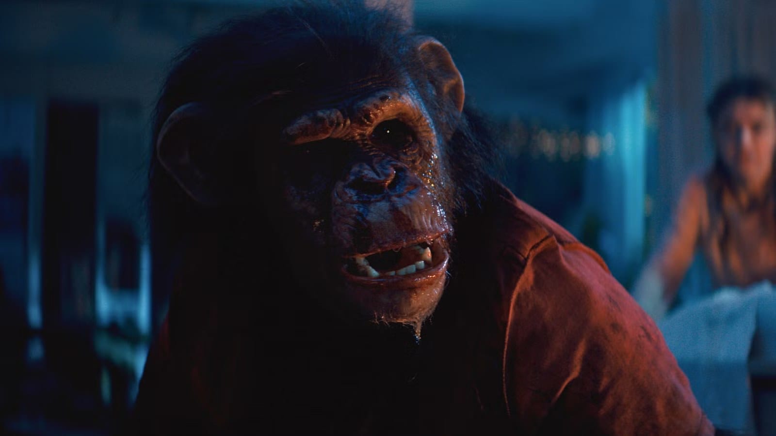 Primate Arrives on Digital Platforms Feb. 10 with Bonus Content — Movieweb