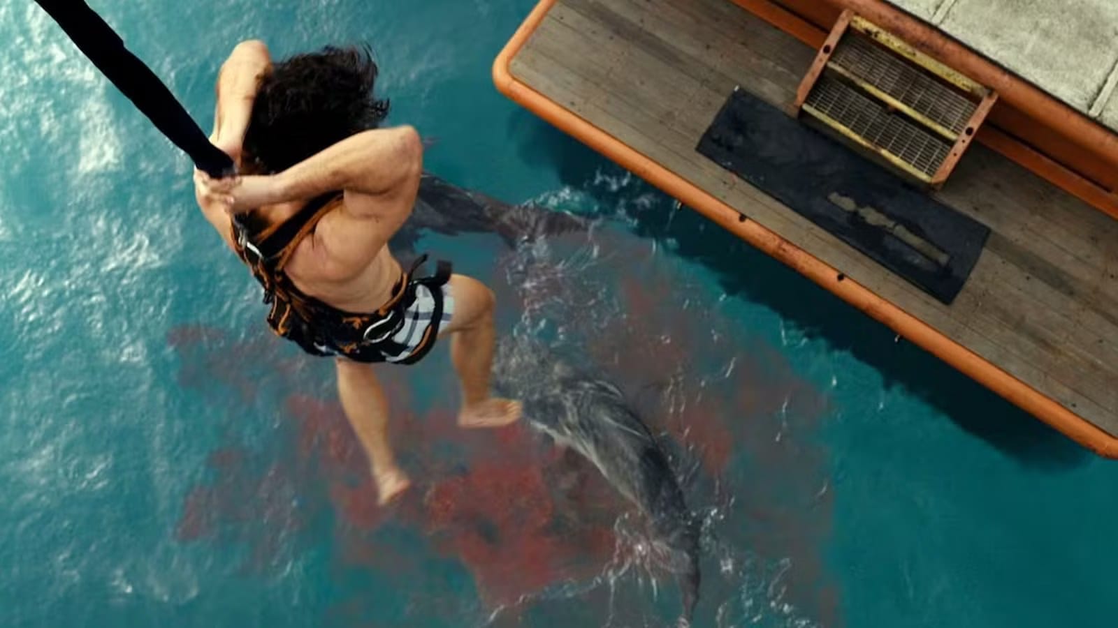 Edge-of-Your-Seat Shark Horror 'Dangerous Animals' Climbs Prime Video Charts — Movieweb
