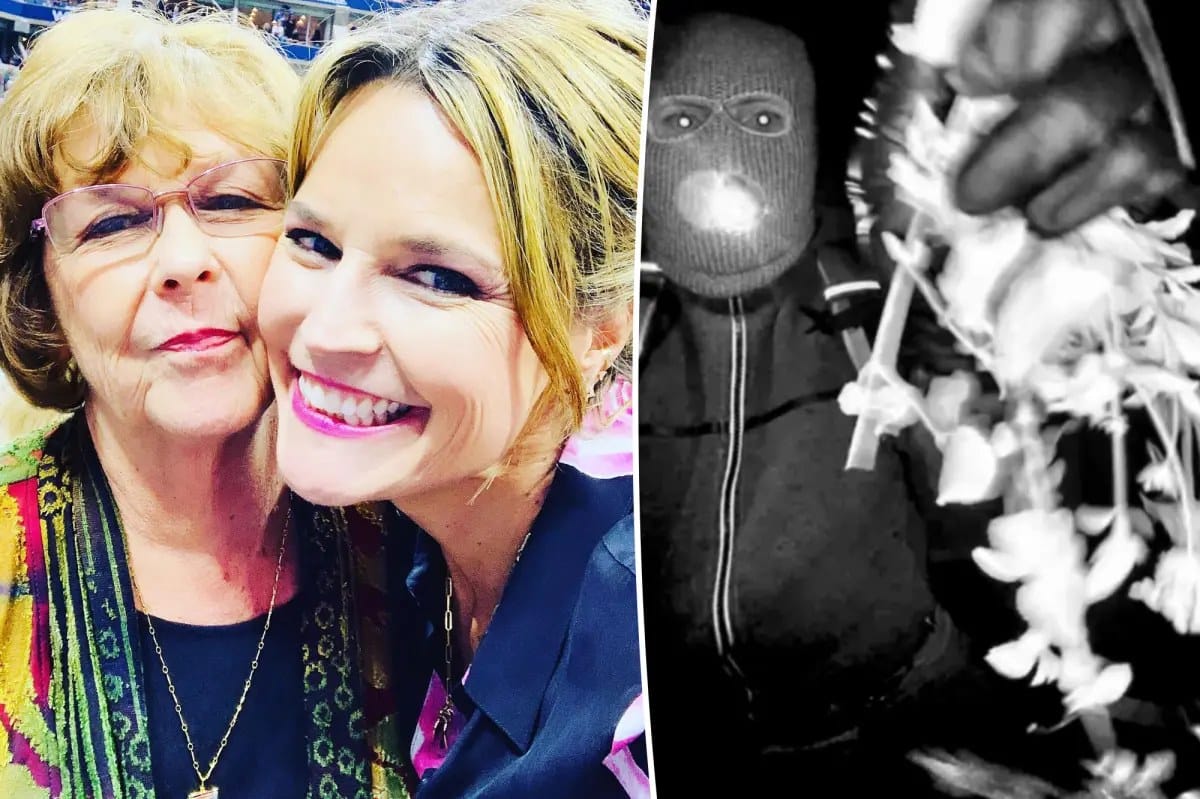 Savannah Guthrie pleads after video of mother's alleged kidnapper released — Pagesix