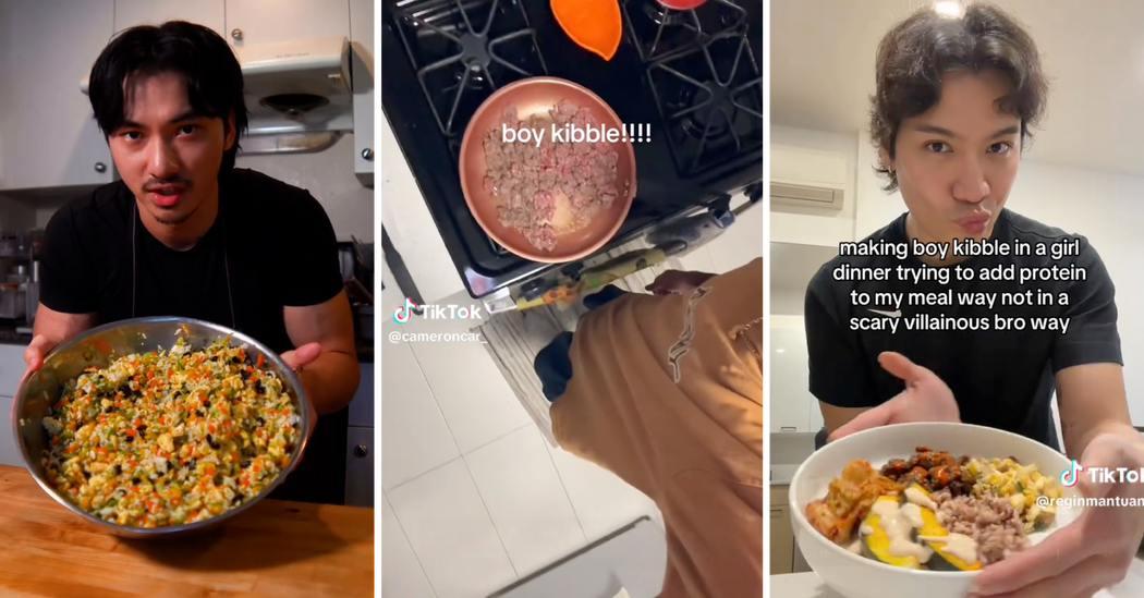 Boy Kibble Arrives as a Male‑Coded, Efficient Meal Trend — NYT > Style