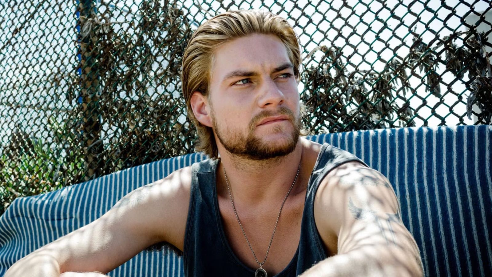 Animal Kingdom: A Crime Drama Built Around Family, Now Streaming on Netflix — Collider